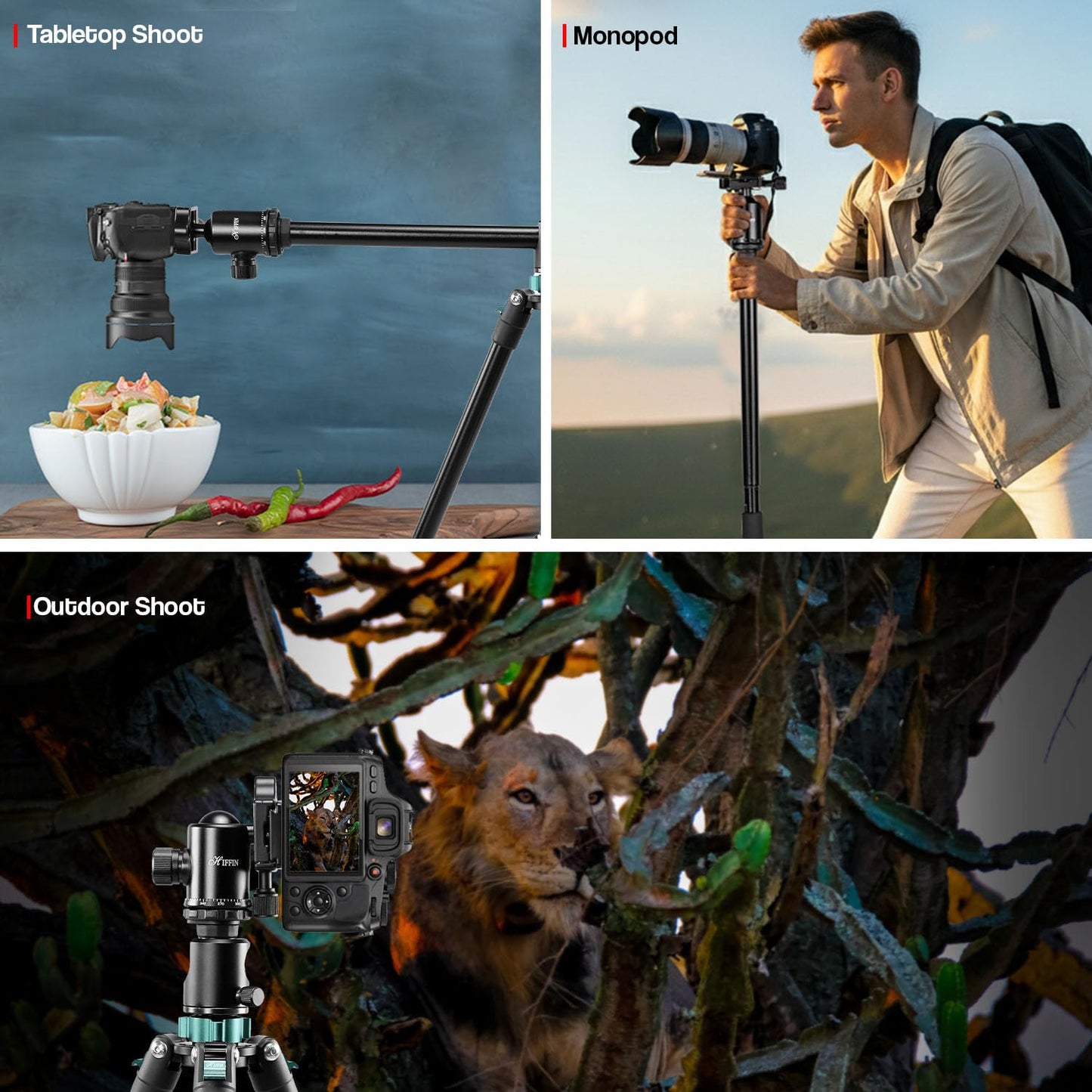 HF-550 1.651M (65") Camera Tripod for Canon Nikon DSLR, Aluminum Alloy