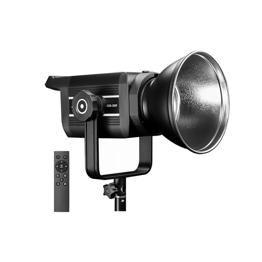 Professional 250W LED Video Light, 2800K-6800K Adjustable, 9 FX Modes Remote Control, and 10%-100% Brightness