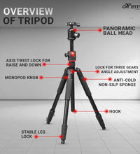HIFFIN HTR-540 Professional Special Quality 72 inches (182cm) Camera Travel Tripod Monopod with 360 Degree Ball Head, 1/4-inch Quick Shoe Plate and Bag for DSLR Camera up to 5 kilograms