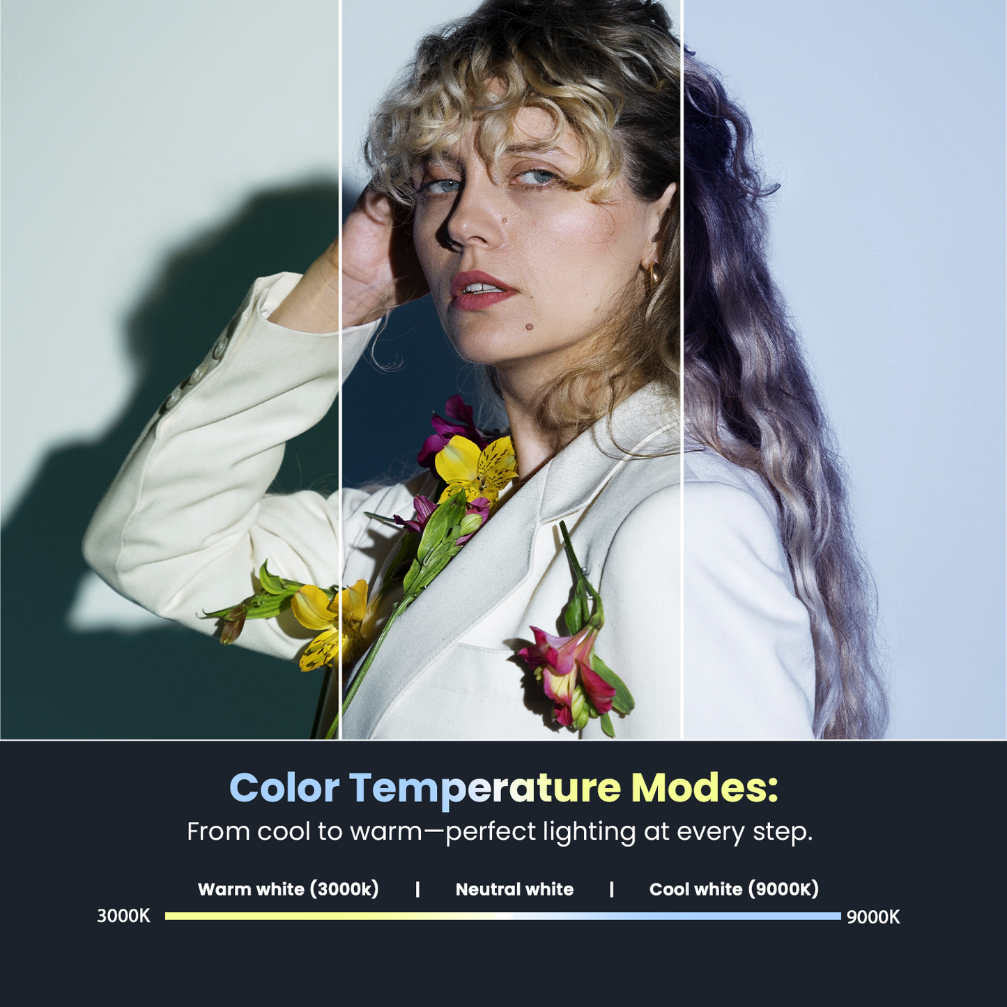 LT-003 Selfie Light 3000-9000K | 7W, 3 Modes, USB-C, Portable for Phones