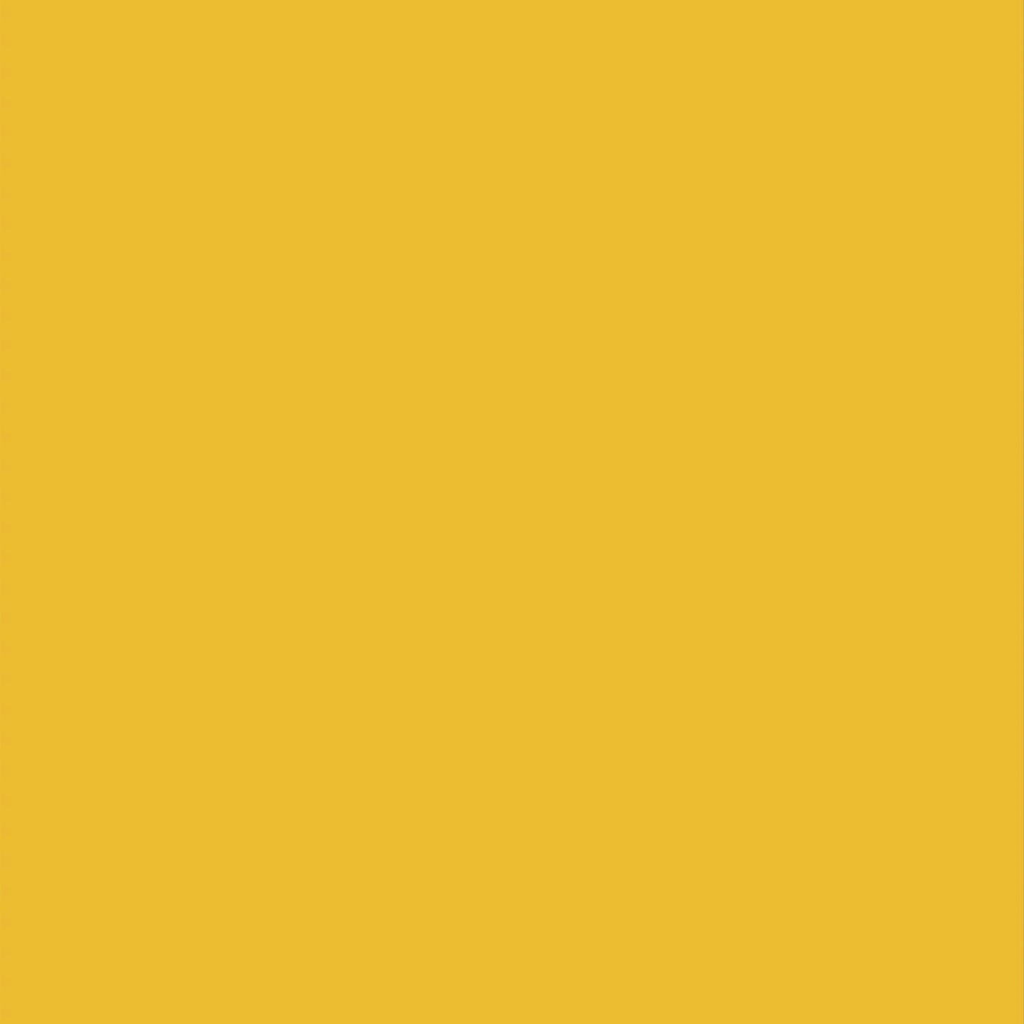 HIFFIN Paper Backdrop For Photography (9X36 Feet)